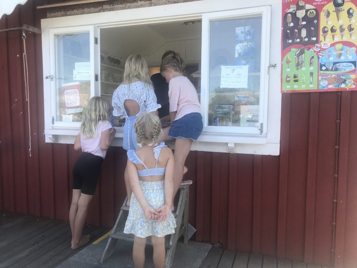 Båttur till Gåsö med guidad tur